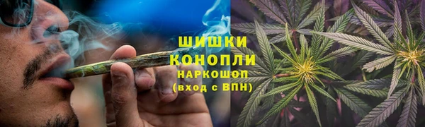 ГАЛЛЮЦИНОГЕННЫЕ ГРИБЫ Алзамай