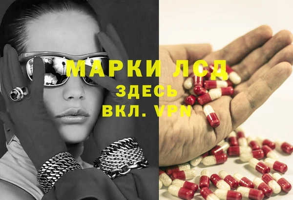 ГАЛЛЮЦИНОГЕННЫЕ ГРИБЫ Алзамай