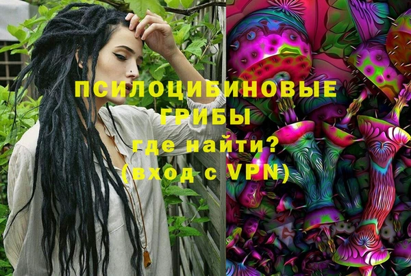 первитин Алексеевка