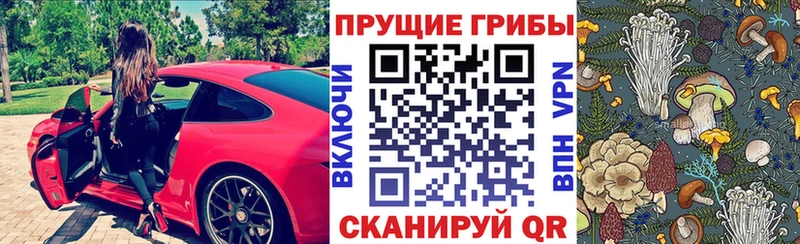Псилоцибиновые грибы Magic Shrooms  дарнет шоп  Мегион 